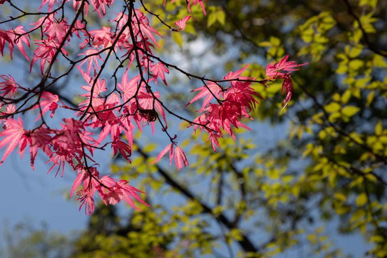 센-노-모리 호텔 아소 외부 사진